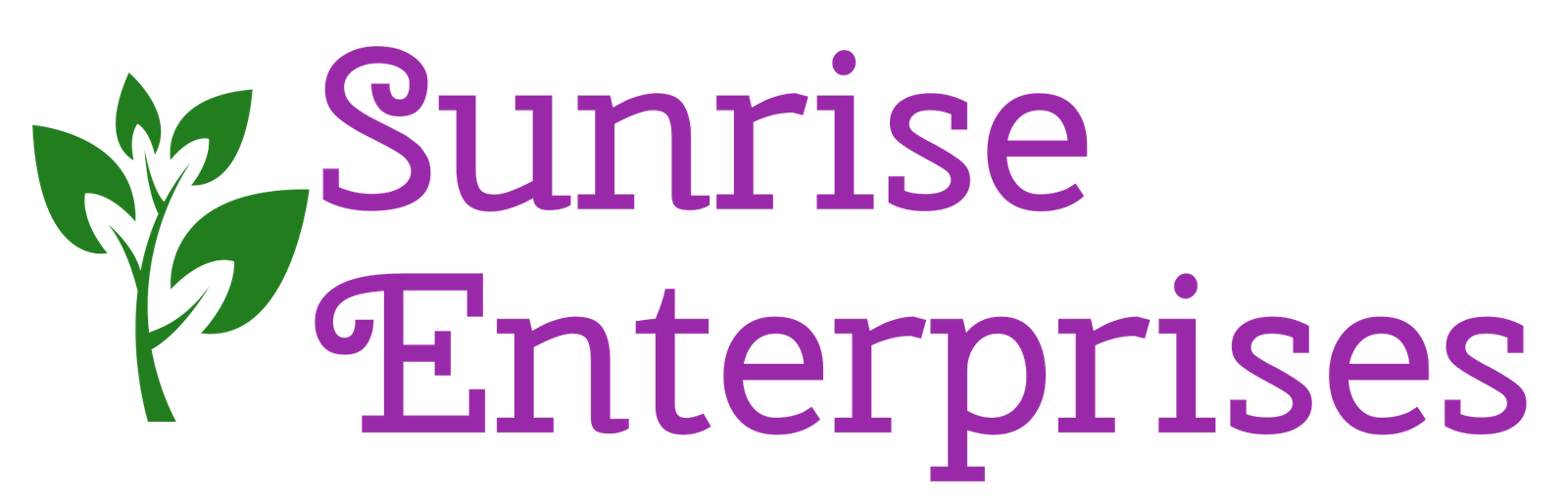 SunRise Enterprises