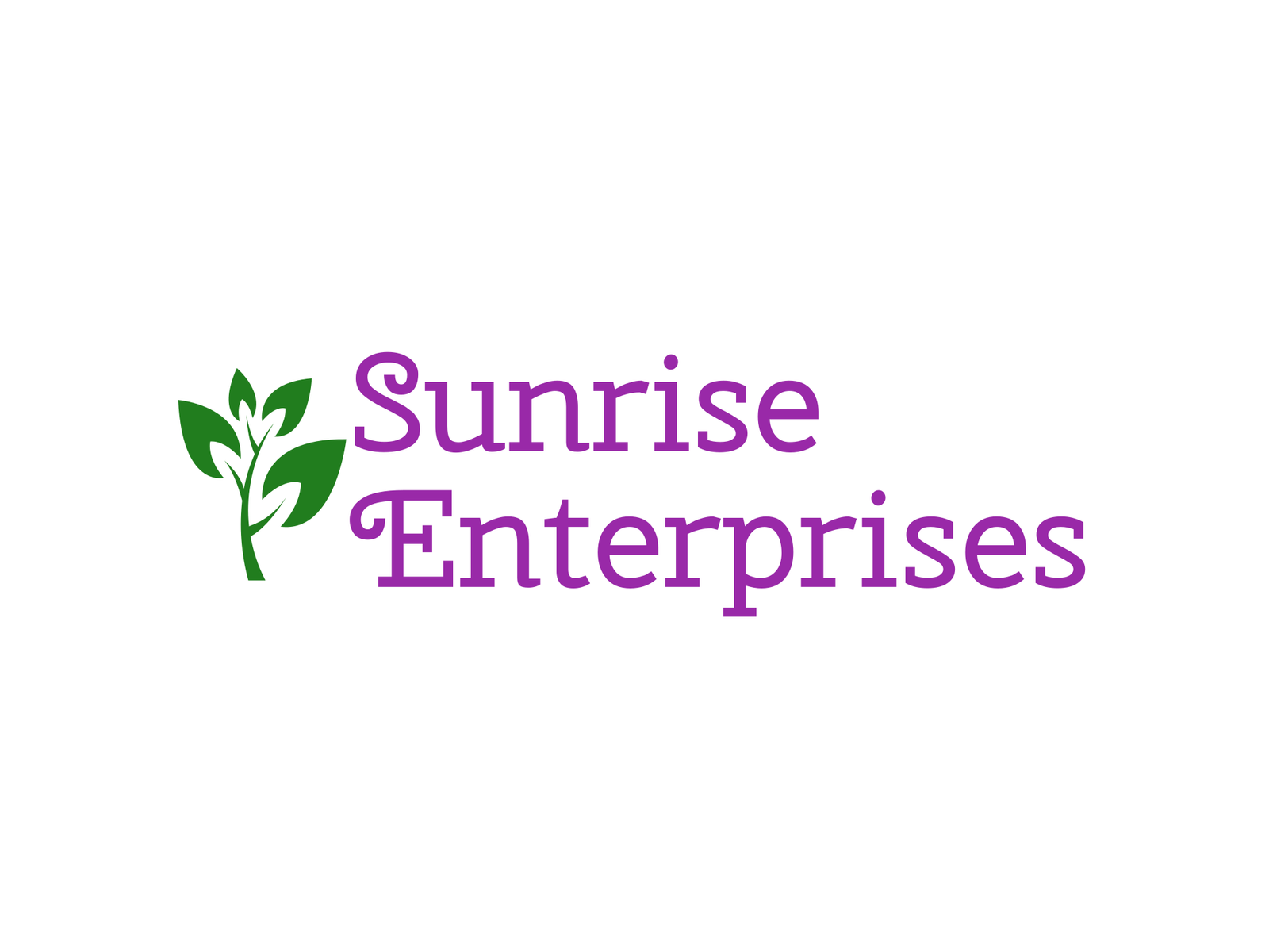 SunRise Enterprises